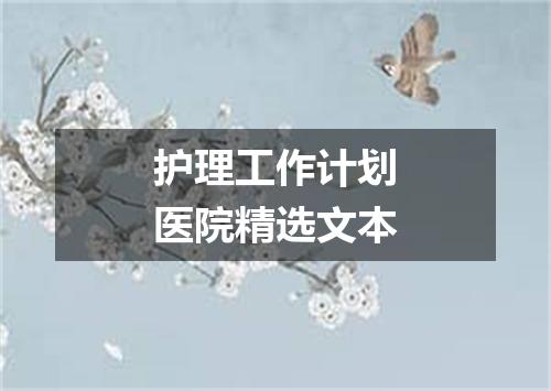 护理工作计划医院精选文本