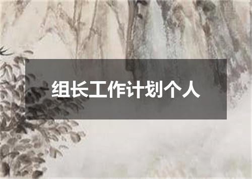 组长工作计划个人