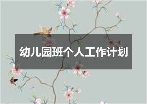 幼儿园班个人工作计划