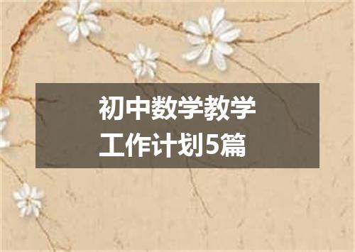 初中数学教学工作计划5篇