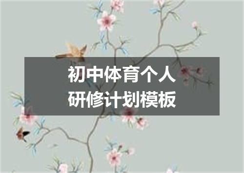 初中体育个人研修计划模板