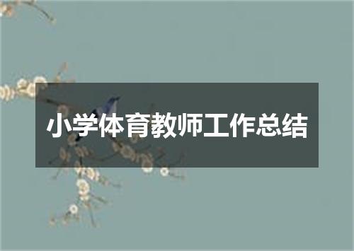 小学体育教师工作总结