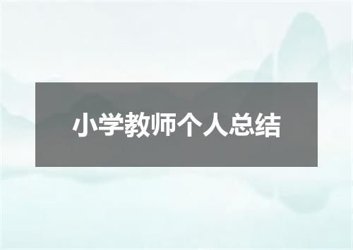 小学教师个人总结
