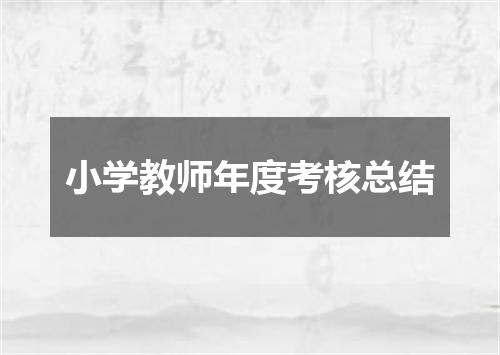 小学教师年度考核总结