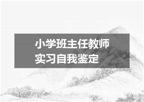 小学班主任教师实习自我鉴定
