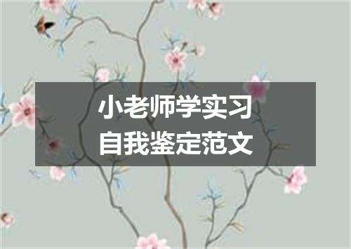 小老师学实习自我鉴定范文