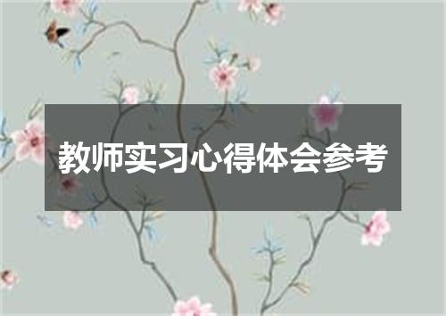 教师实习心得体会参考