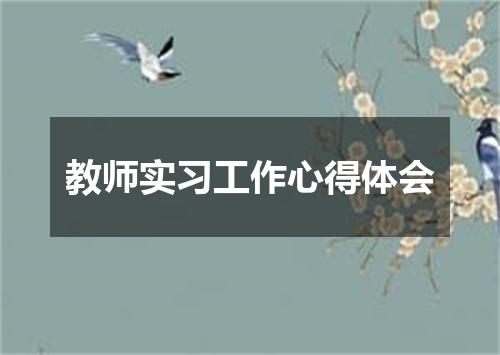 教师实习工作心得体会