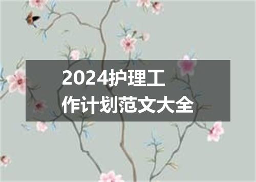 2024护理工作计划范文大全