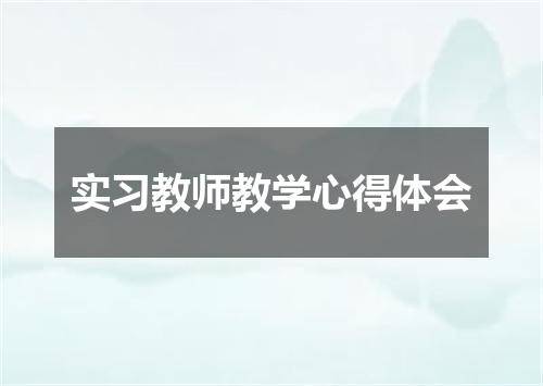 实习教师教学心得体会