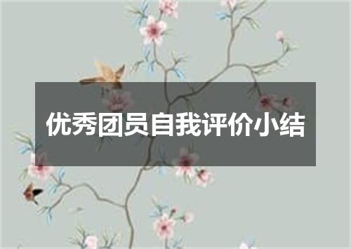 优秀团员自我评价小结