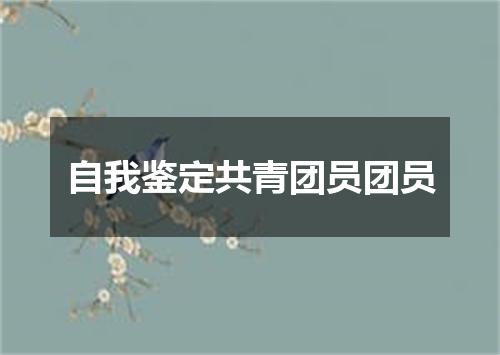 自我鉴定共青团员团员