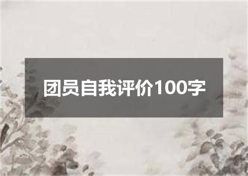 团员自我评价100字