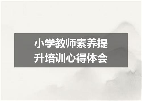 小学教师素养提升培训心得体会