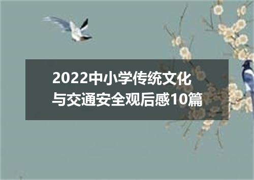 2022中小学传统文化与交通安全观后感10篇