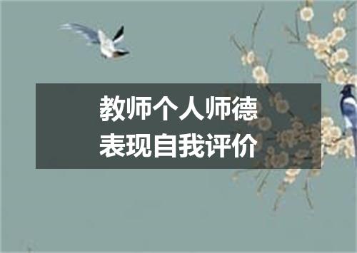 教师个人师德表现自我评价