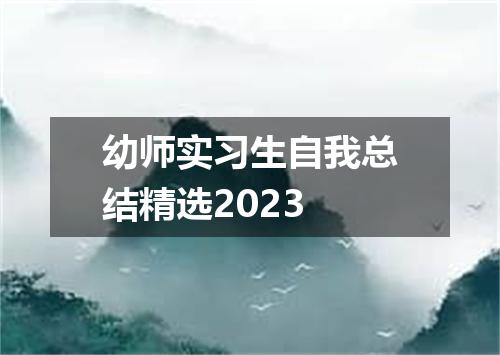 幼师实习生自我总结精选2023