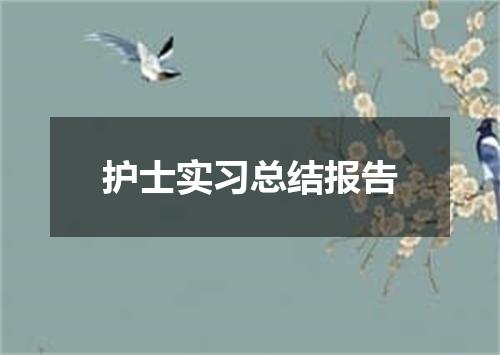 护士实习总结报告