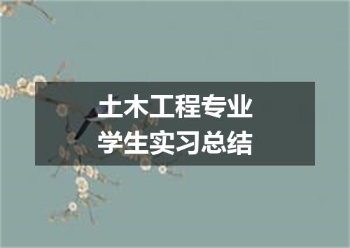 土木工程专业学生实习总结
