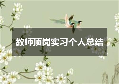 教师顶岗实习个人总结