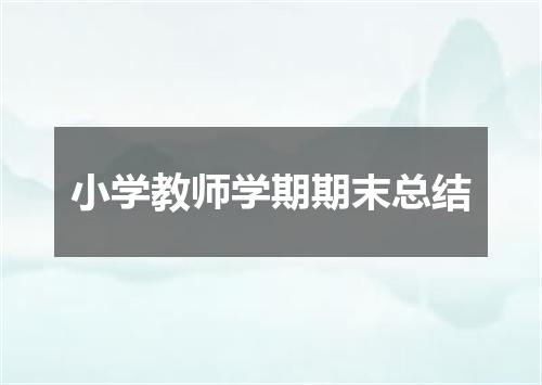 小学教师学期期末总结