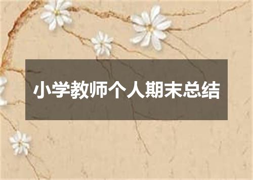 小学教师个人期末总结