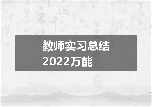 教师实习总结2022万能