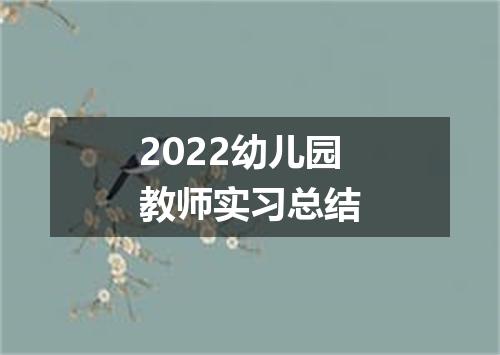 2022幼儿园教师实习总结