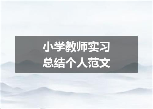 小学教师实习总结个人范文