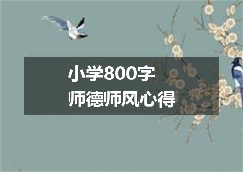 小学800字师德师风心得