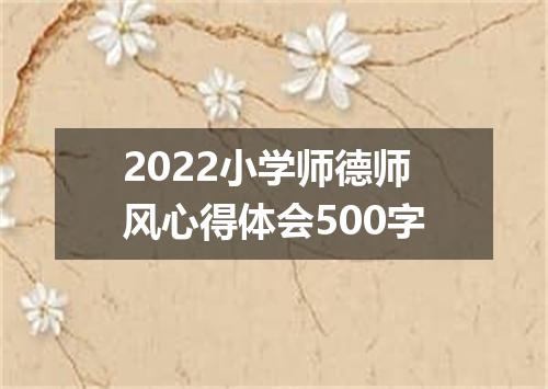 2022小学师德师风心得体会500字