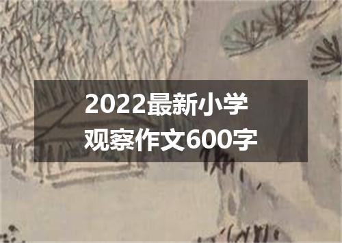 2022最新小学观察作文600字