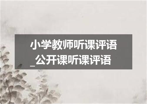 小学教师听课评语_公开课听课评语
