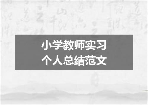 小学教师实习个人总结范文