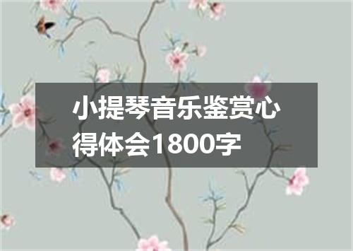 小提琴音乐鉴赏心得体会1800字