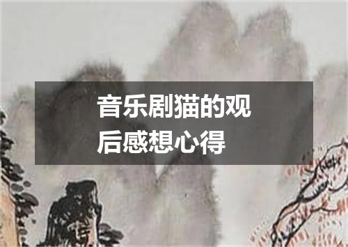 音乐剧猫的观后感想心得