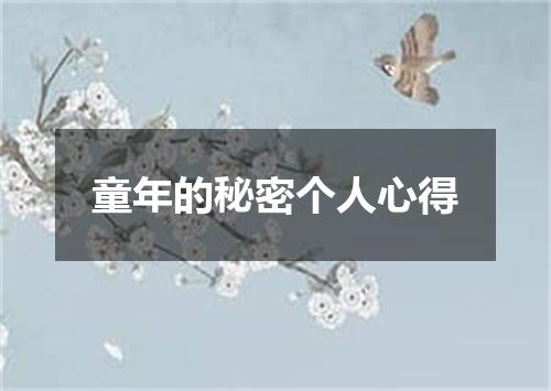童年的秘密个人心得
