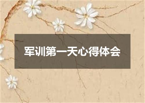军训第一天心得体会