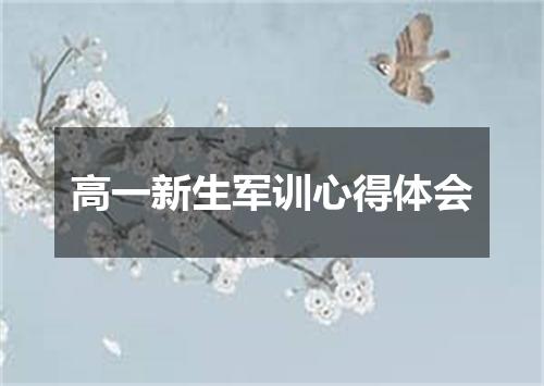 高一新生军训心得体会