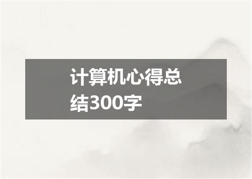 计算机心得总结300字