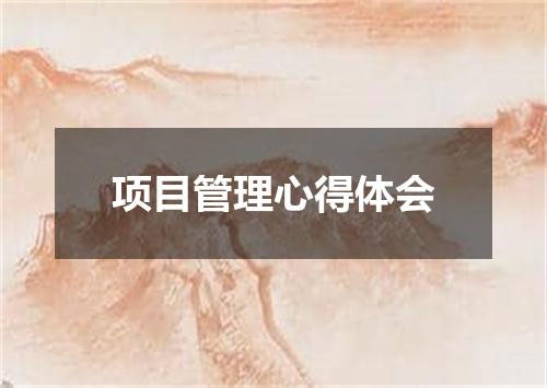 项目管理心得体会