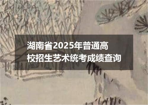 湖南省2025年普通高校招生艺术统考成绩查询