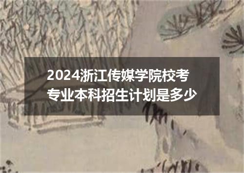 2024浙江传媒学院校考专业本科招生计划是多少