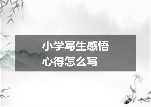 小学写生感悟心得怎么写