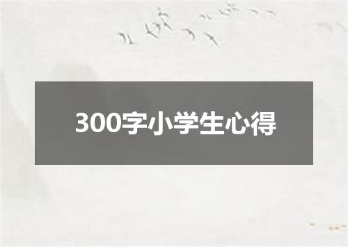 300字小学生心得