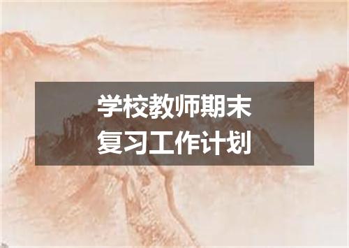 学校教师期末复习工作计划