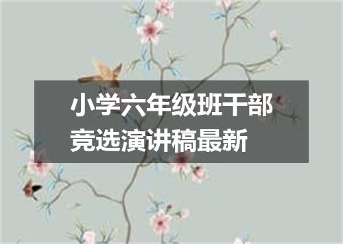 小学六年级班干部竞选演讲稿最新