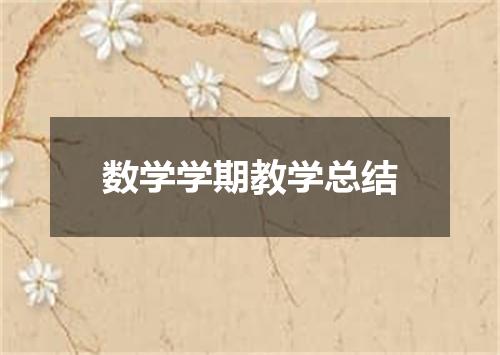 数学学期教学总结