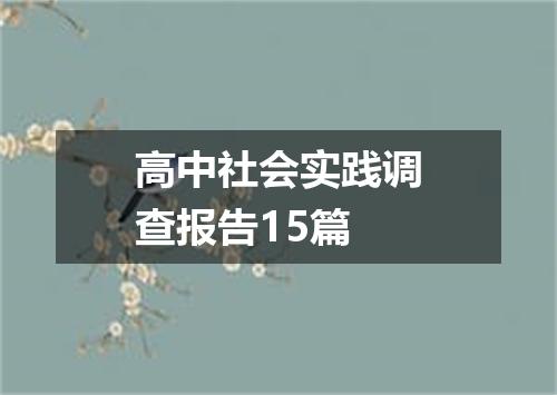 高中社会实践调查报告15篇
