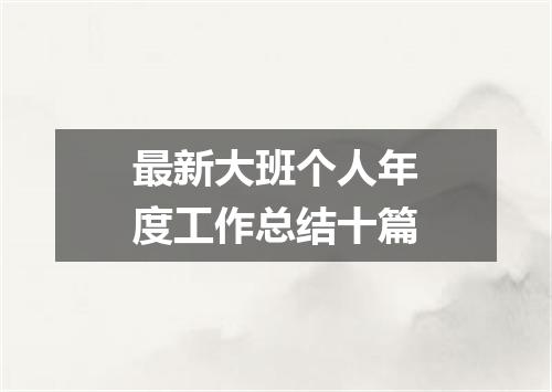 最新大班个人年度工作总结十篇